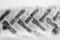 Winterbanden of toch all-season banden? Dit is waar je op moet letten